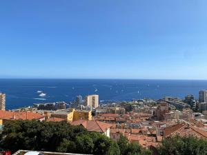 Elegant apartment - sublime view of Monaco