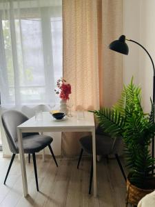 Classic Modern Apartment with Parking Place