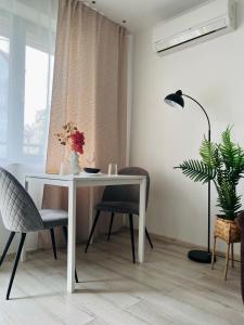 Classic Modern Apartment with Parking Place