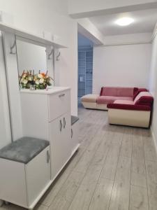 Luxury Property with 1bdm Radauti