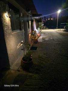 Lilys house near the beach