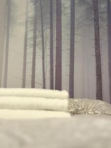 Zabrsaint P E R F E C TzII