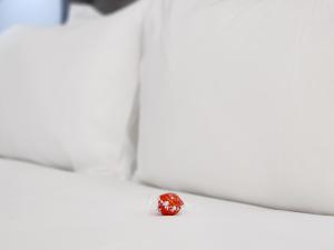 Sea Point Studio by Promenade