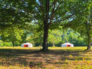 Yourte Mongole traditionnelle