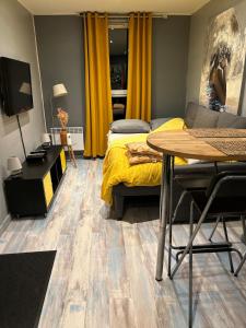 Studio tres confortable en centre ville