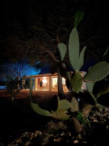 Casa di Pini - Stylish Villa with Infinity and Plunge Pool - 2 km from the Beach