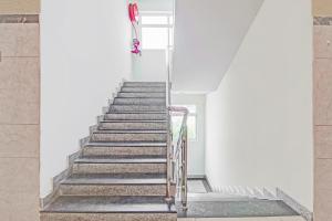 Super Collection O Grand Governorpet