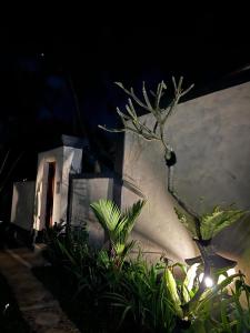 Raja House