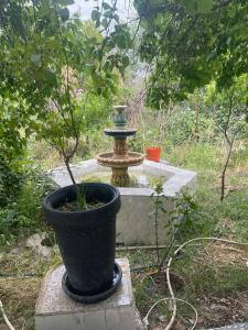 Duplexe familiale avec jardin