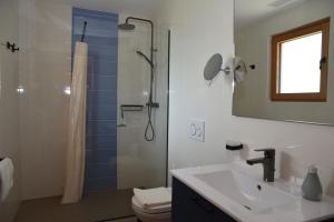 Felsenegg appartements