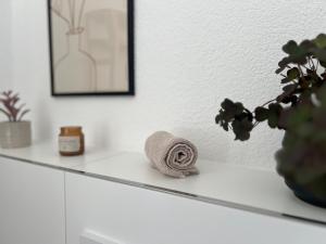 Smart Apartment Villingen