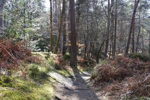 La maison du bonheur