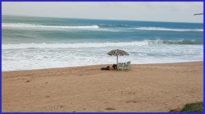 Hotel Priyanshi Aradhya Shree Jagannath Temple - Free Wifi and Parking Facilities - Fully-Air-Conditioned Rooms - Best Hotel