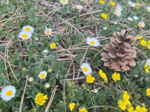 La Cabane des artistes 2 - confort, nature et déconnexion