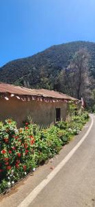 Cabaña Cajon Escondido