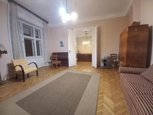 CosySpacious last century style downtown apartment