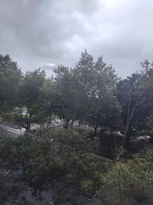 Frente a plaza colon