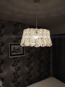 Lapin lomakoti yliopiston lähellä