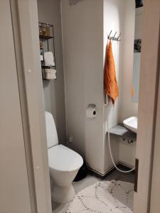 Lapin lomakoti yliopiston lähellä