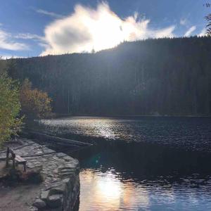 Holiday in Bohemian Forest in the picturesque village of Prášily