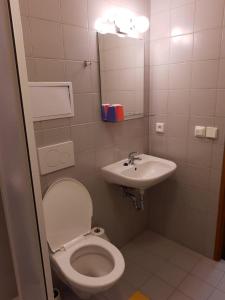 Útulný apartmán s balkonem na Šumavě v malebné vesničce Prášily