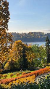 Trepimäe Guest Apartment