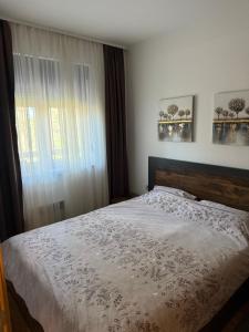 Leo Pine Lux Apartments