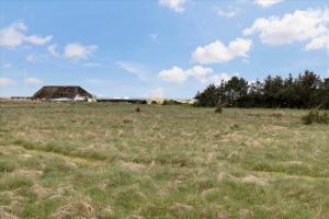 TV1103-Bindslev-Spaettevej-9