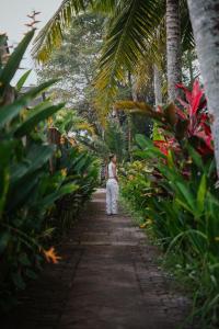 The Field Ubud Yoga Retreat Community Creativity Inspired Living