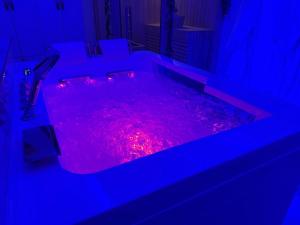 Loveroom de luxe avec jacuzzi sauna vapeur écran 300 cm