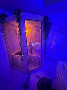 Loveroom de luxe avec jacuzzi sauna vapeur écran 300 cm