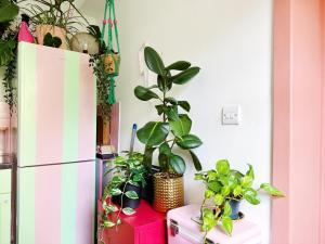 Quirky Apartment Close to town centre and FREE parking