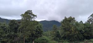 Kookal Candle Wood House