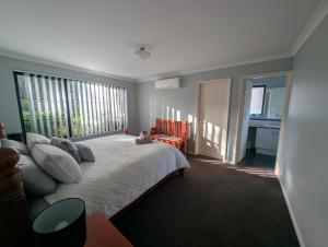 Spacious 4x2 Southwest Gem Perfect for Two Families, Steps from Top Attractions with Fun Spaces for Kids, separate areas for Adults and Big Savings