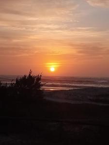Casa beiramar, vista mar e pinheiros, pé na areia