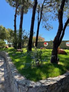 Quinta Dos Amarelos no Meco