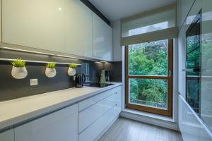 Nadmorski Dwór Premium przy plaży