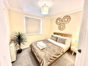 Paddington Beautiful Two Bedroom Apartment