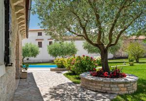 Istranka in Frkeči (Haus für 4 Personen)