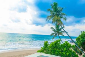At Kellys Ambalangoda