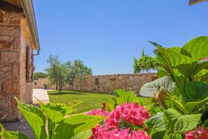 Dolores in Cokuni (Haus für 4-5 Personen)