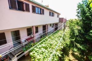 Apartments Ema