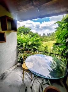 Betania Alojamiento Rural Quindío Eje Cafetero espectacular!