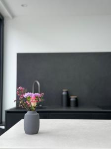 Modern Flat in Clapham North, London