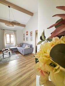 Charmant appartement mansardé en centre ville de Foix
