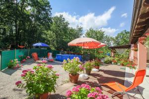 Dalibor in Jakačići - Haus für 2-4 Personen