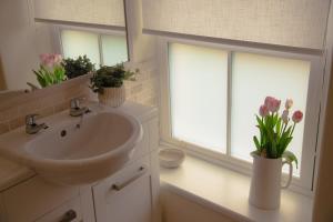 Little Cott - Cosy Welsh Cottage, a hiking retreat