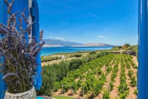 Marianna in Pag - Haus für 5 Personen