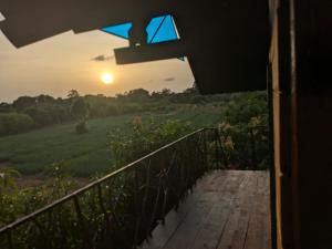 Elegant Elephant Hostel