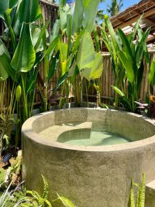 La Luna Villa Siargao - CoLiving w Private Rooms, Pool & Rooftop